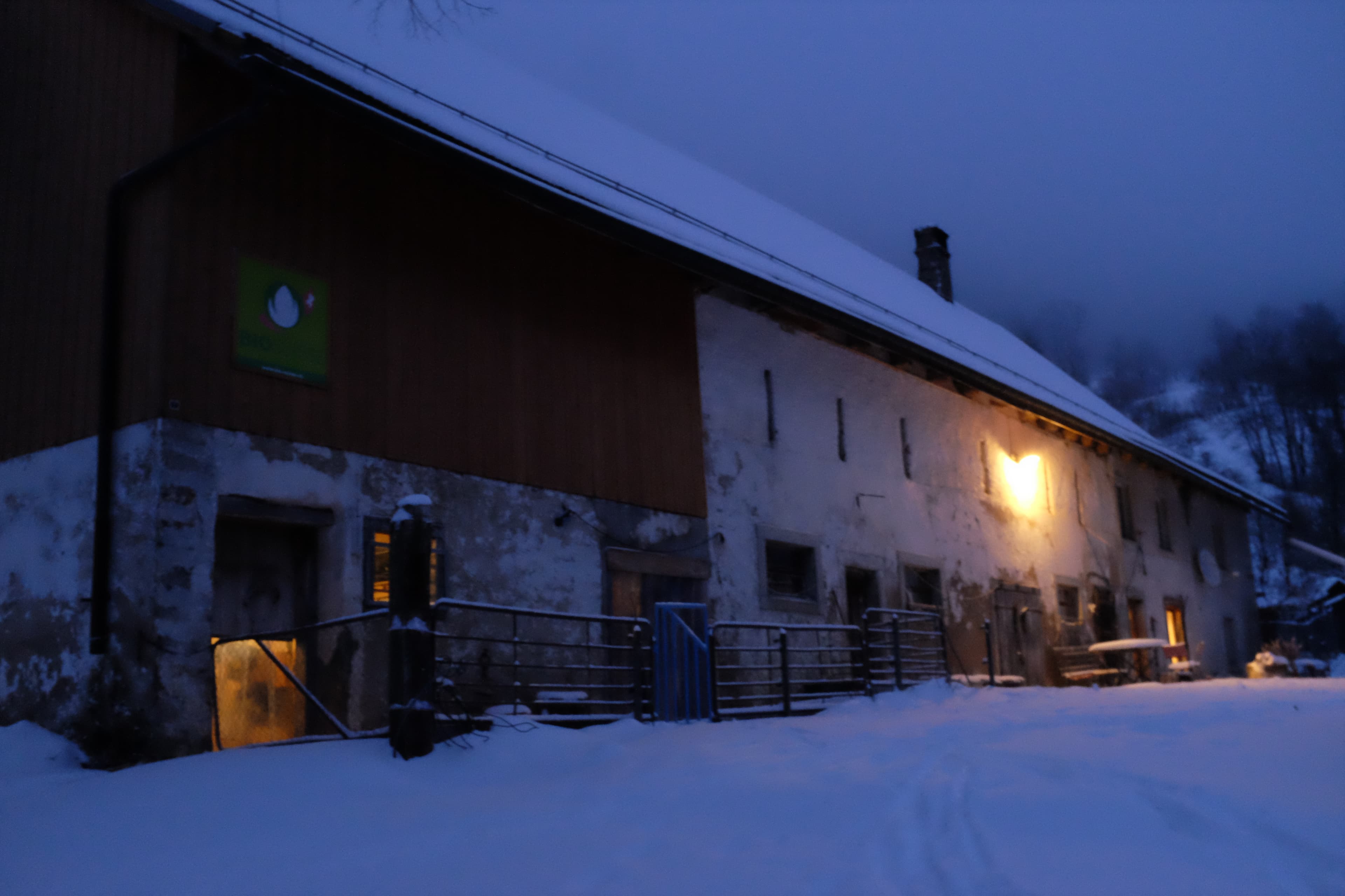 Der Hof 1